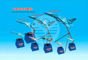 飞豹系列模型 Leopand Plane model series